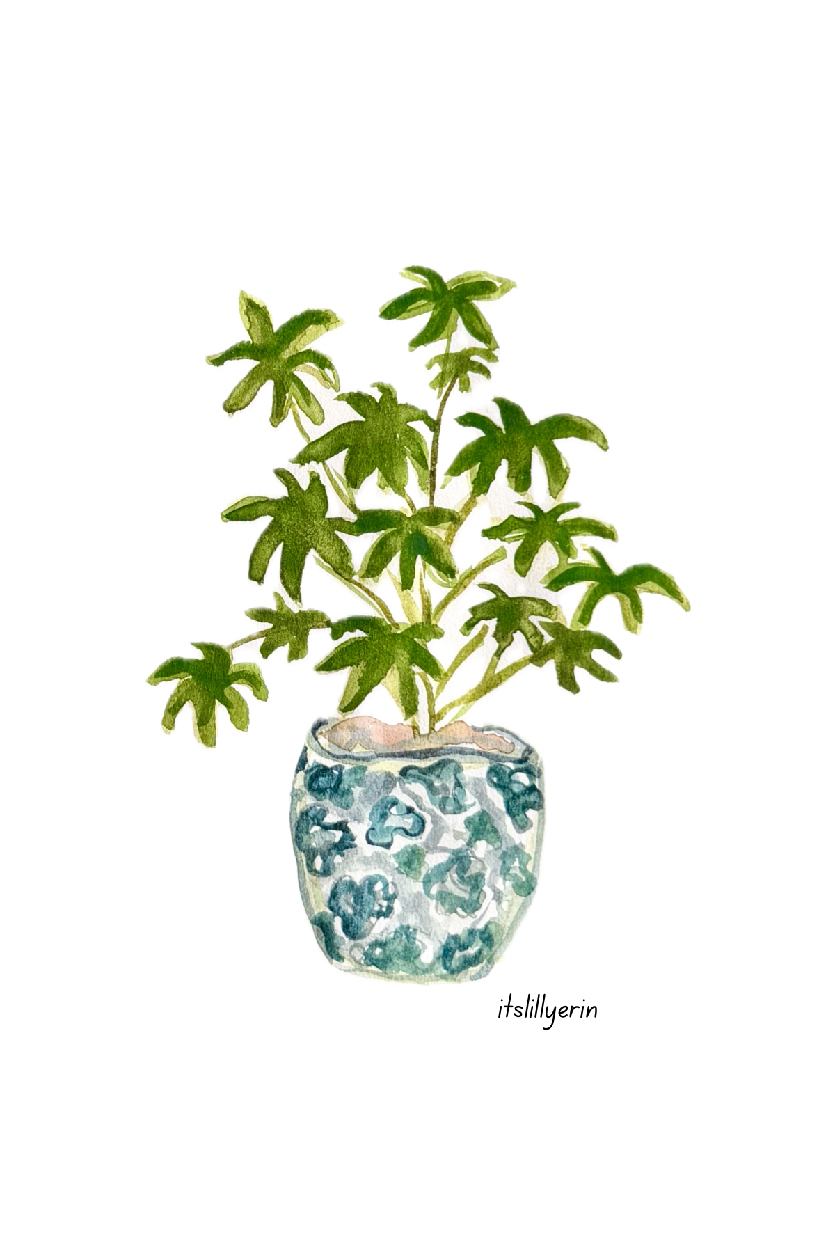 5 Pack houseplant watercolor Cards