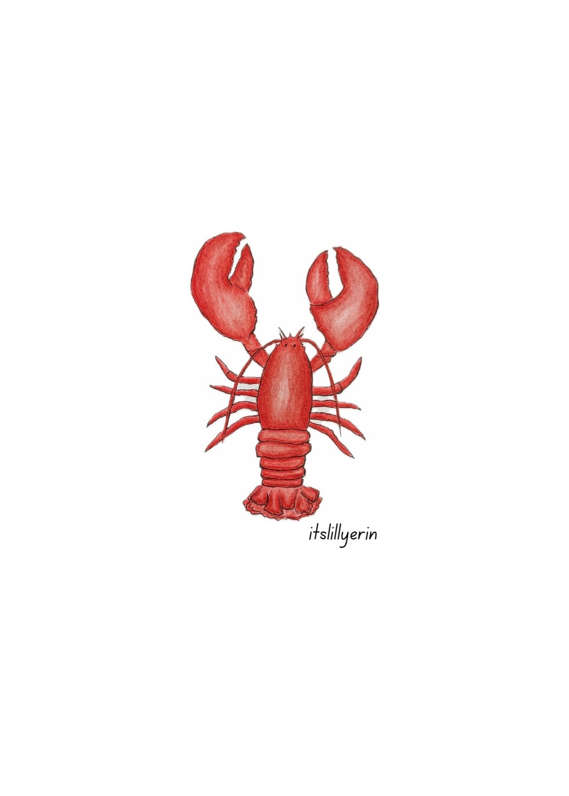 Lobster 4x6 Drawing