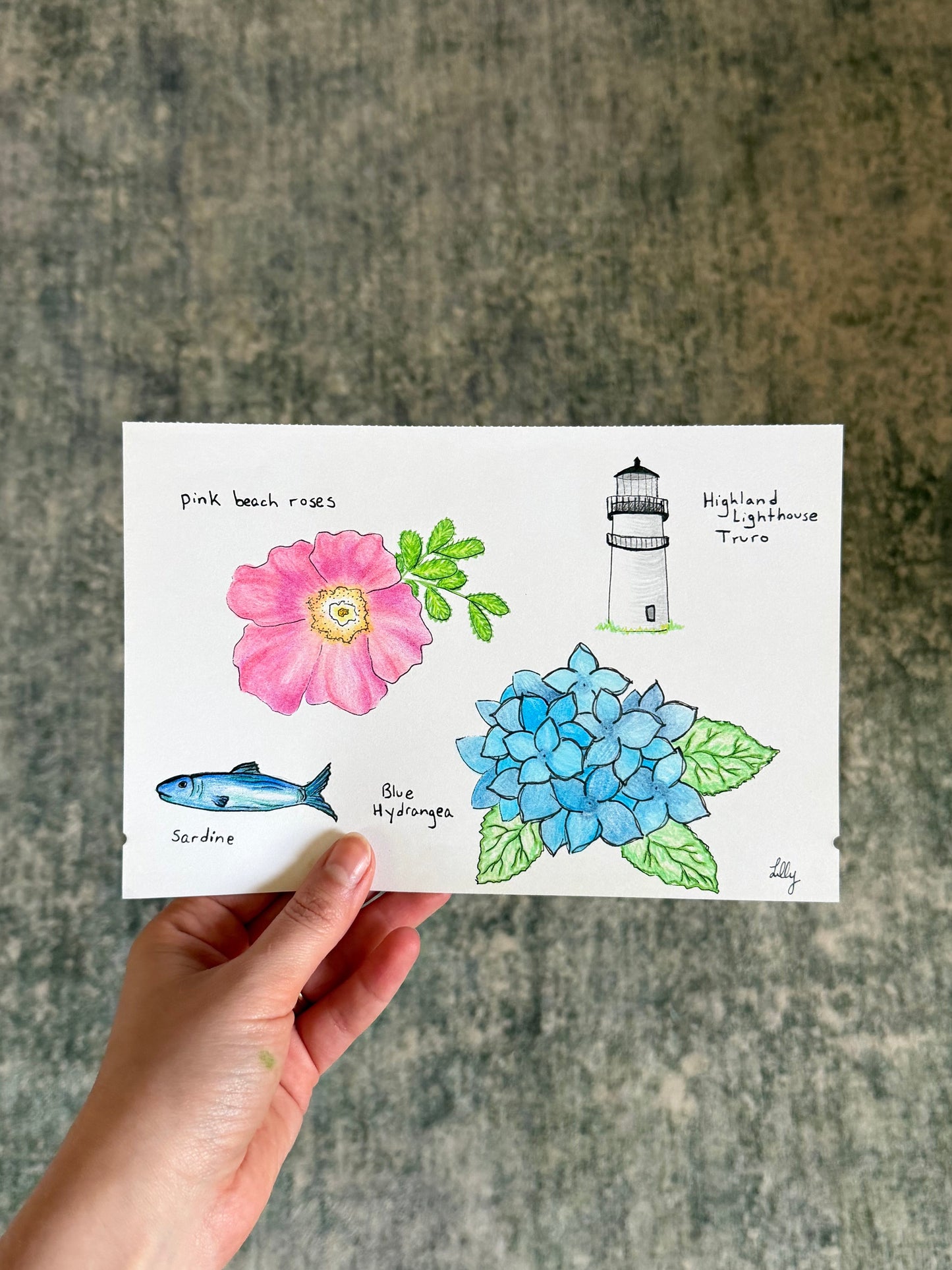 Cape Cod Chips x itslillyerin 4x6 Drawing