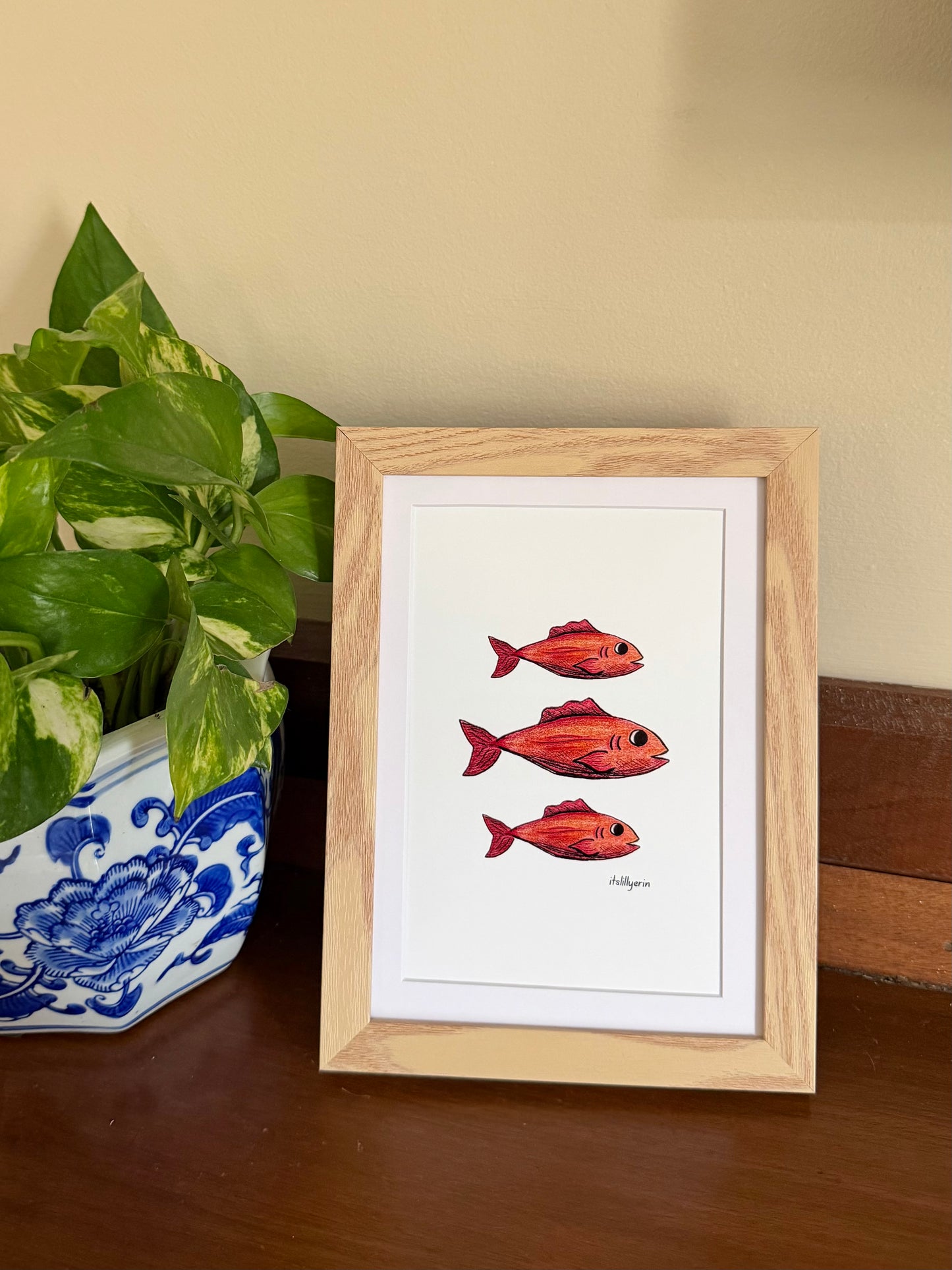 Red Snapper 4x6 Drawing