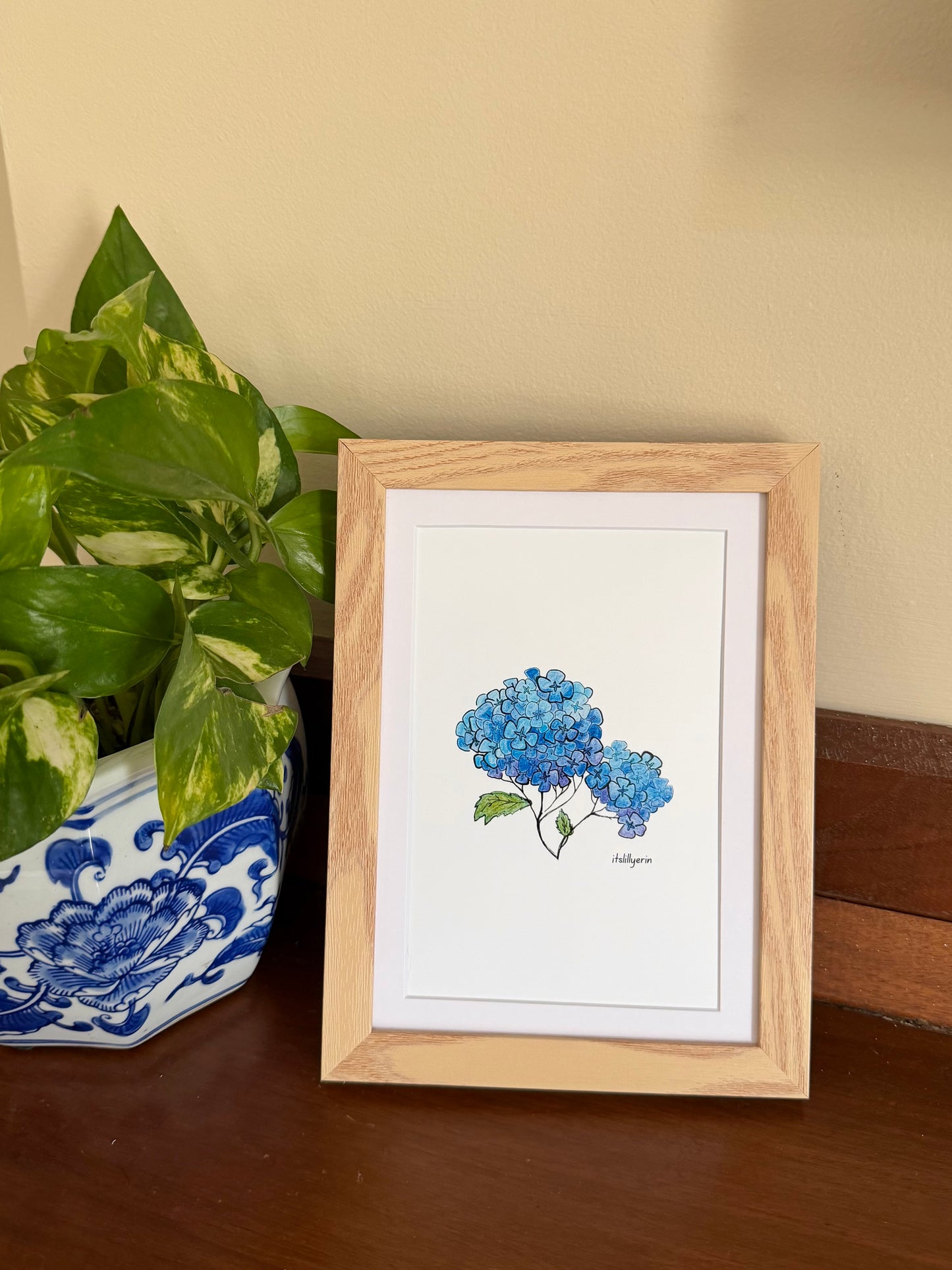 Blue Hydrangeas 4x6 Drawing