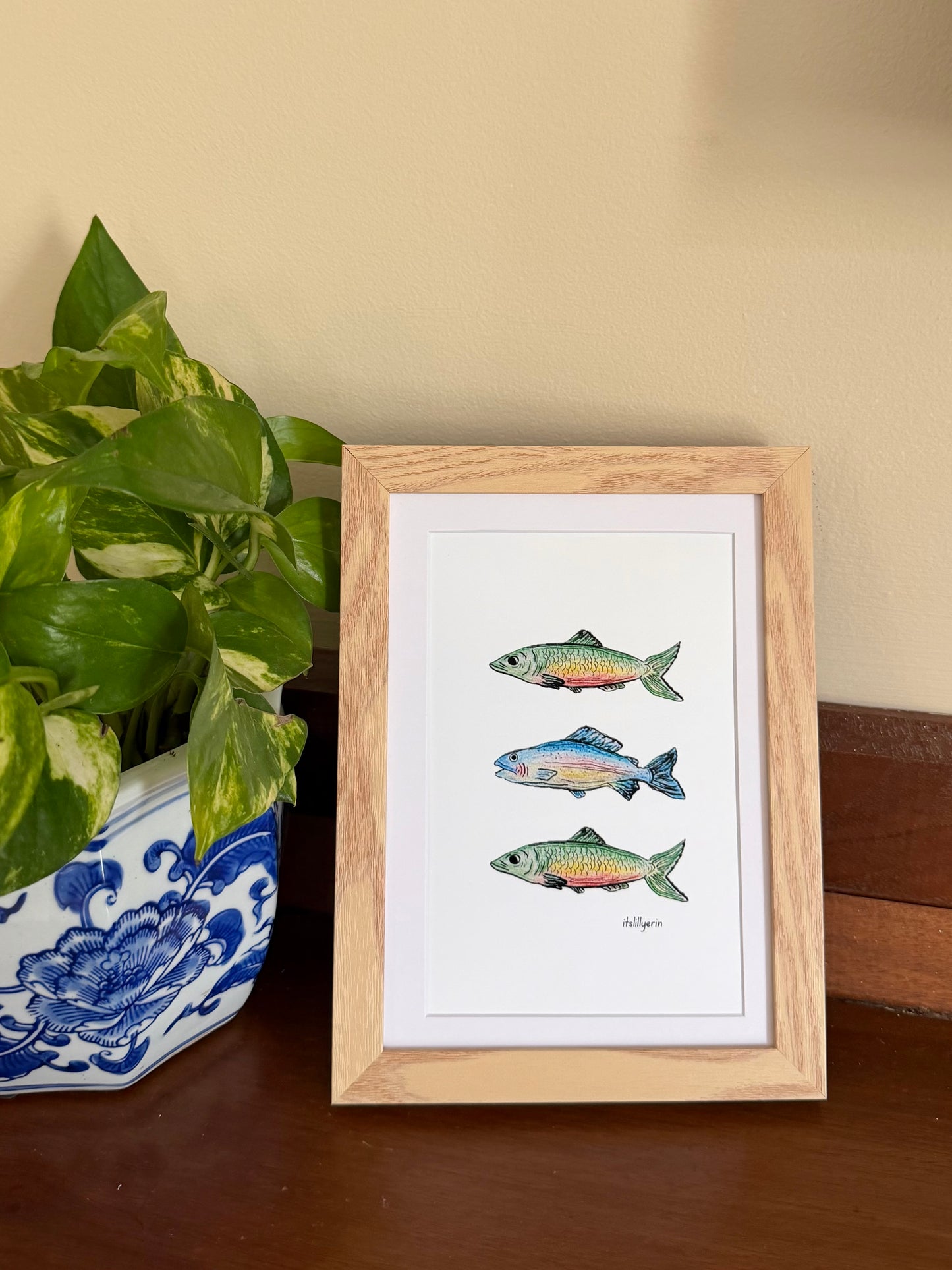 Rainbow Fish 4x6 Drawing