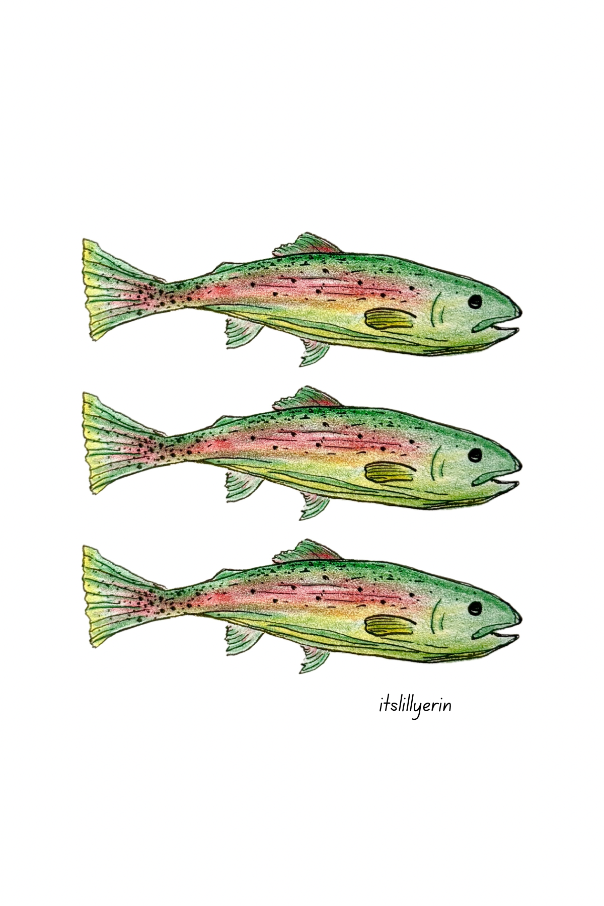 Green Fish 4x6 Drawing