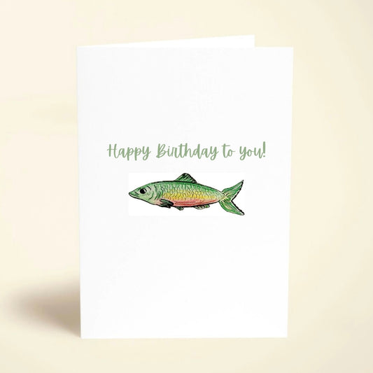 5 Pack Green Fish Birthday Cards