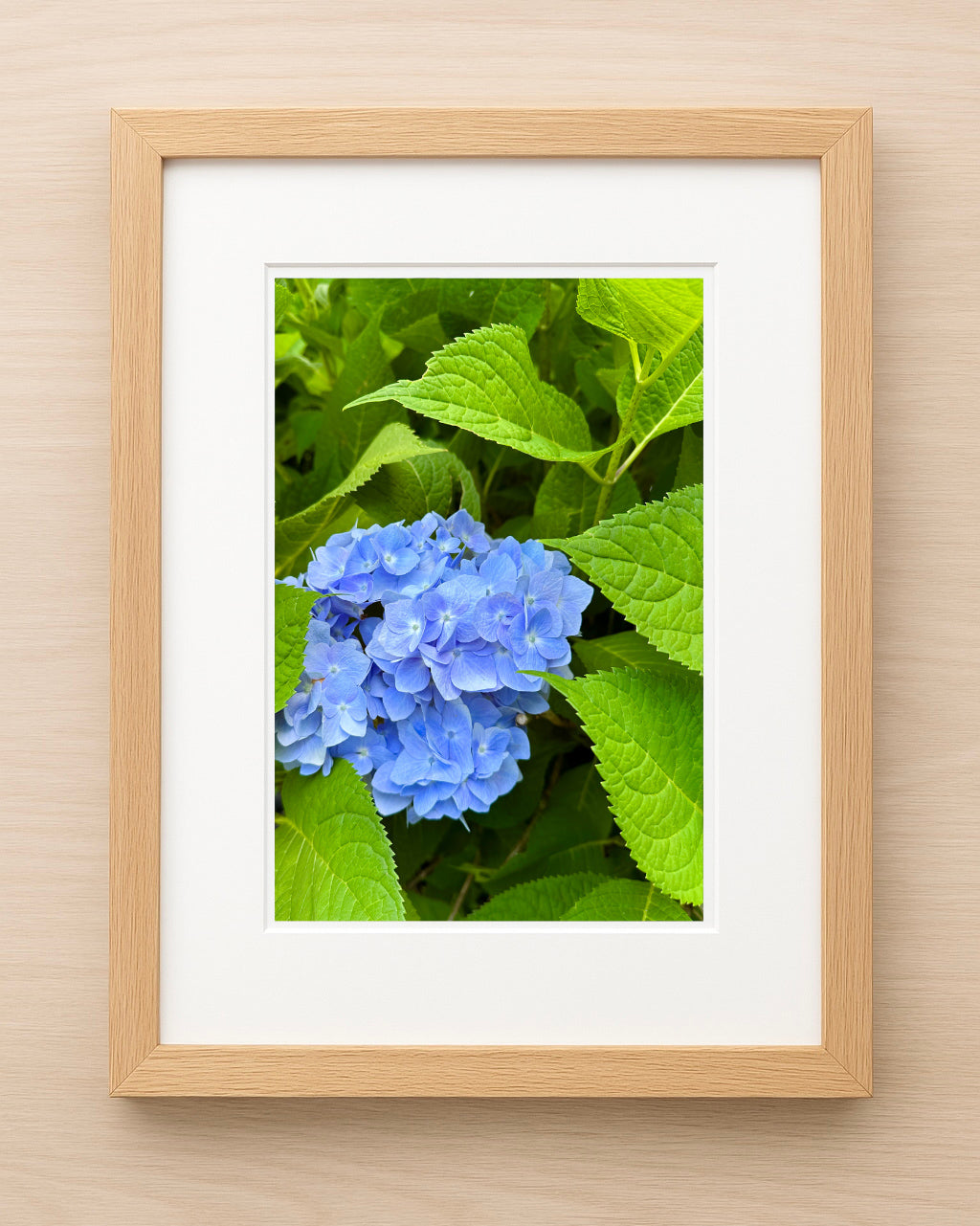 The Perfect Hydrangea Print