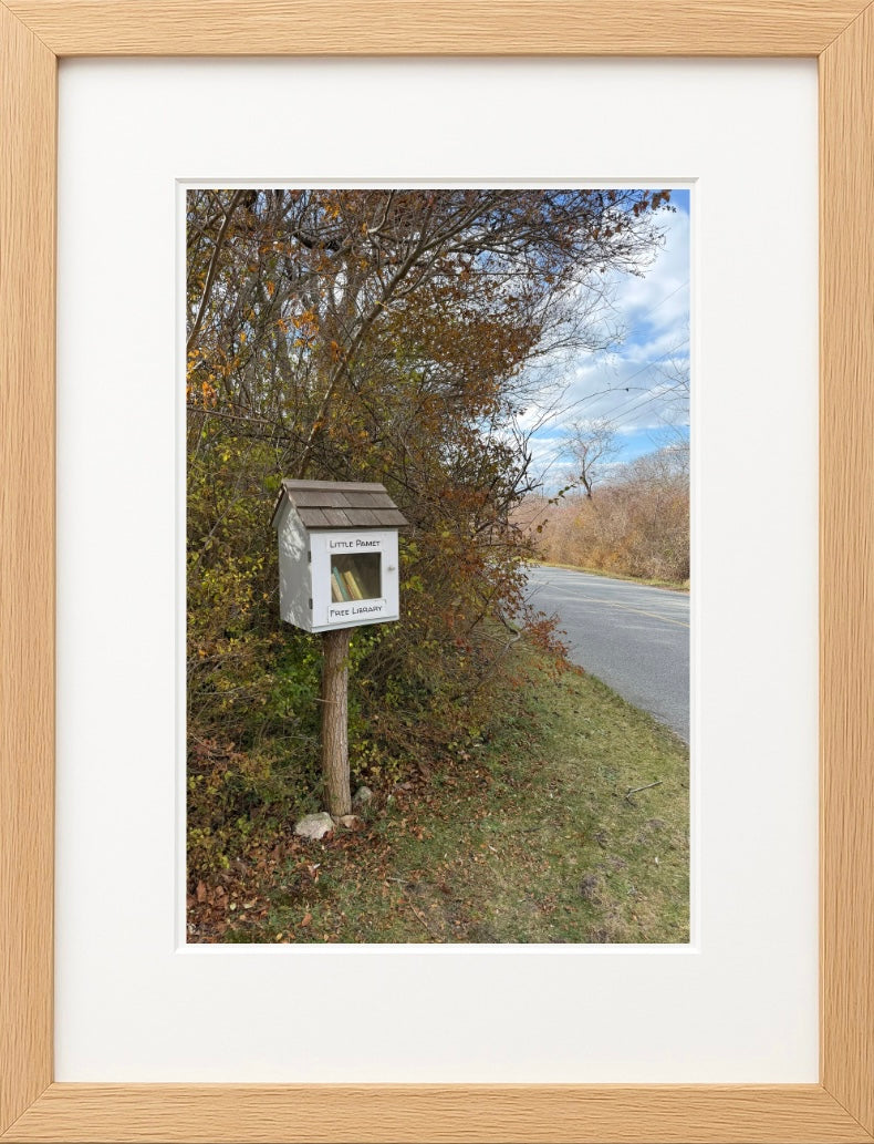 Little Pamet Free Library on Cape Cod Massachusetts Print