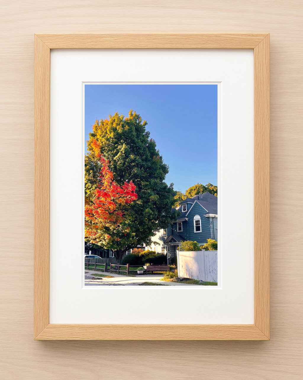 Fall Foliage in Newton, Massachusetts Print