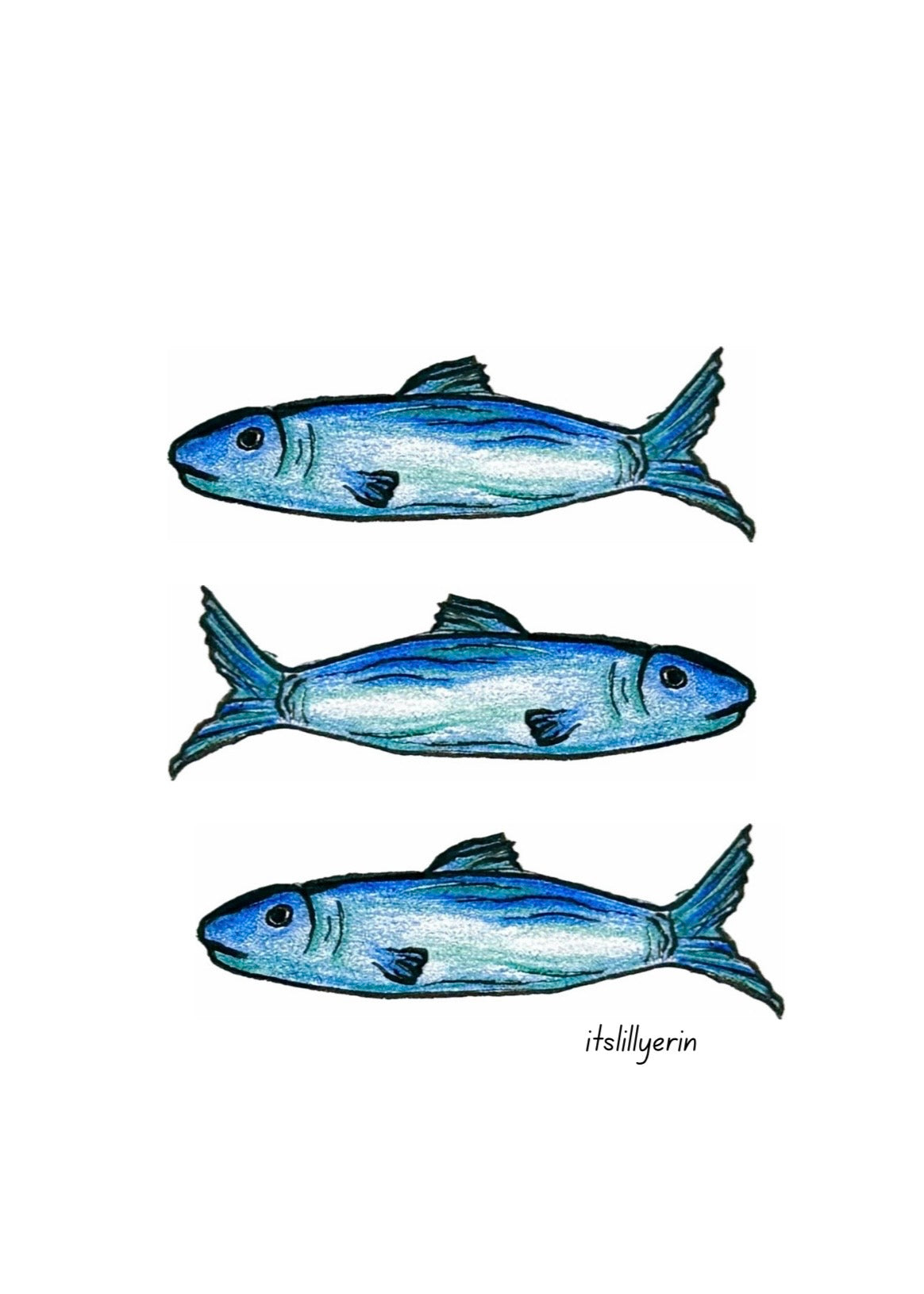 Cape Cod Chips x itslillyerin sardines 4x6 Drawing