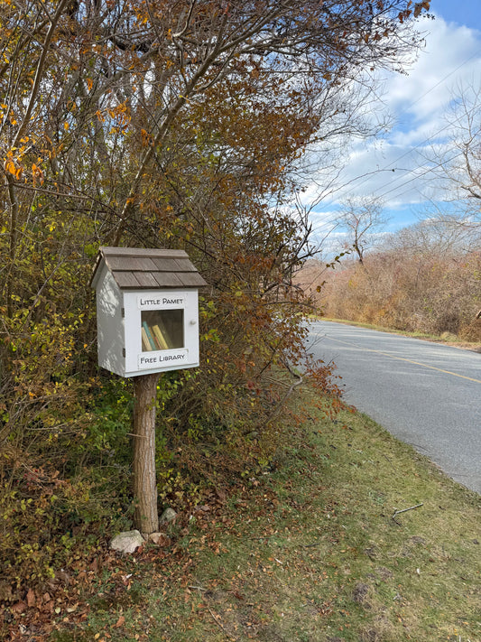 Little Pamet Free Library on Cape Cod Massachusetts Print