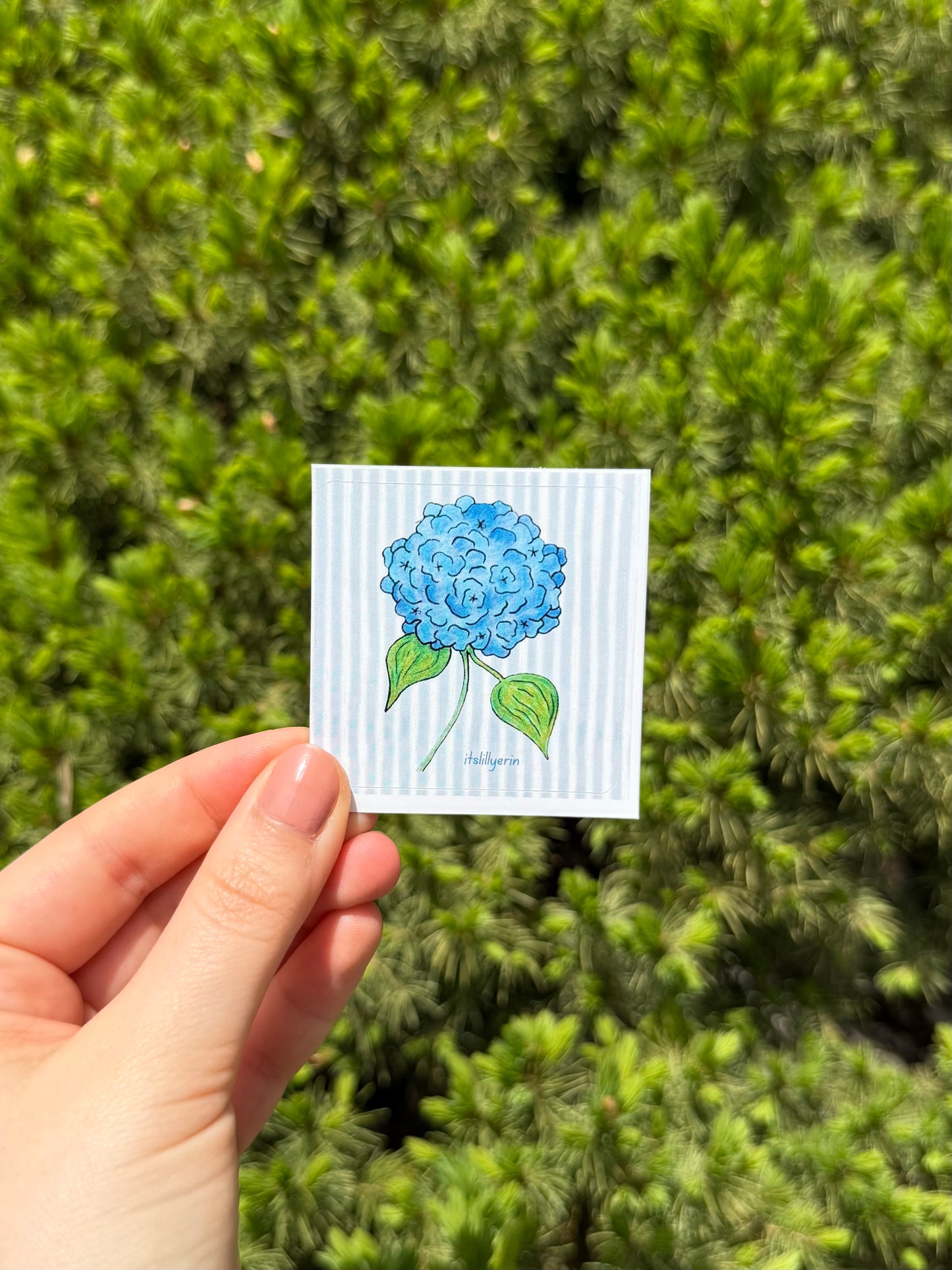 Blue Hydrangea Sticker