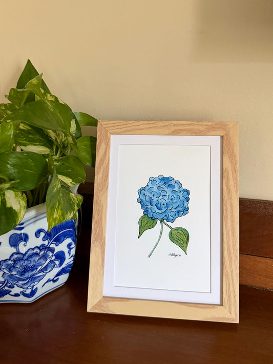 Hydrangea 4x6 Drawing