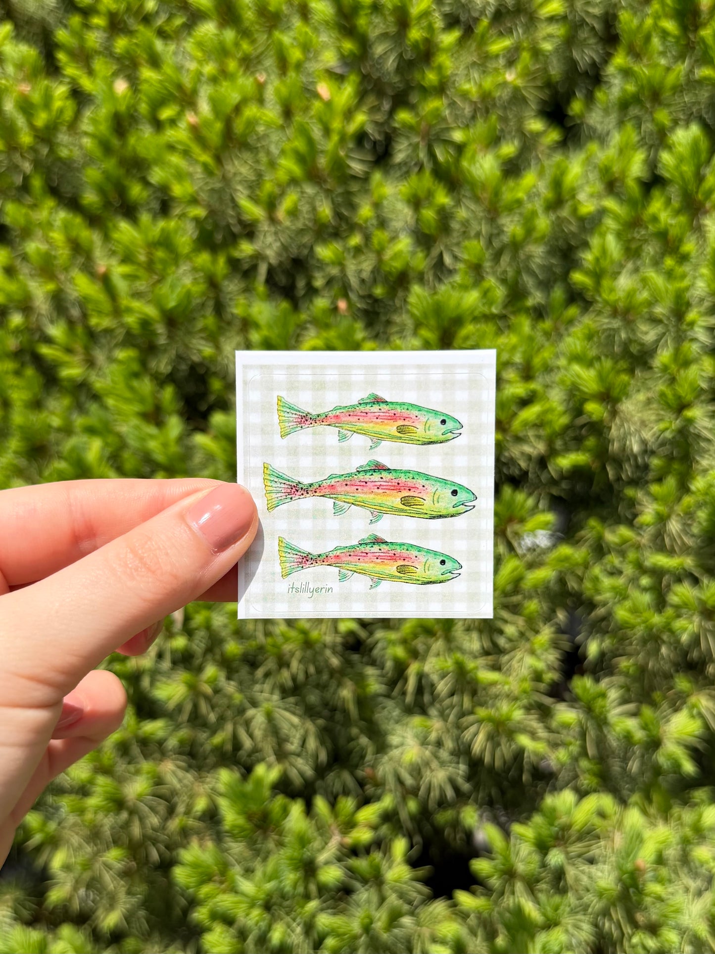 Green Gingham Fish Sticker