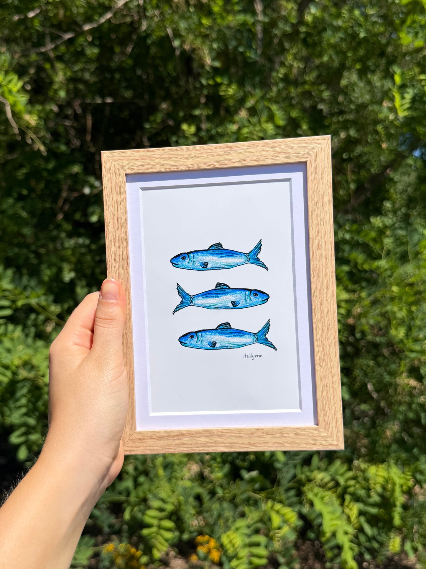 Cape Cod Chips x itslillyerin sardines 4x6 Drawing