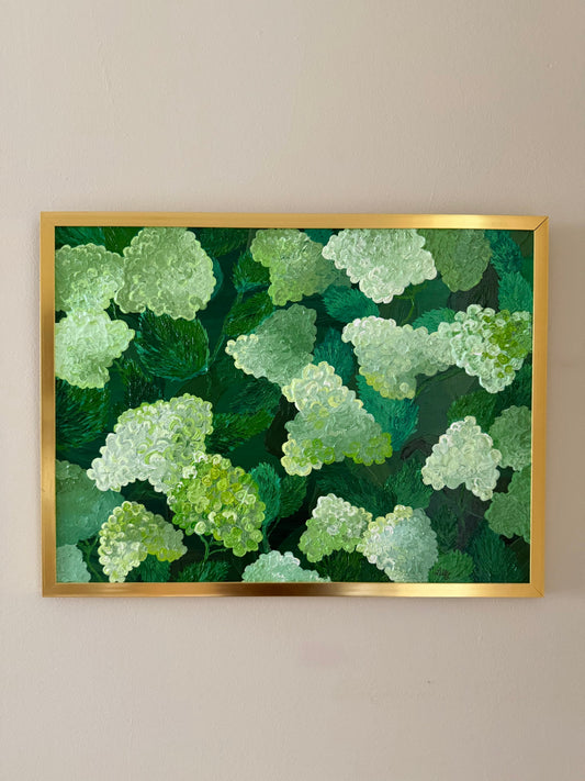 16x12 Limelight Hydrangeas Framed Acrylic Painting