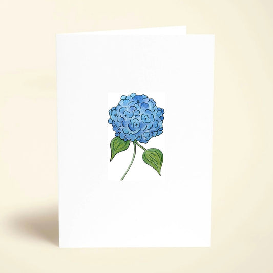 5 Pack Hydrangea Greeting Cards