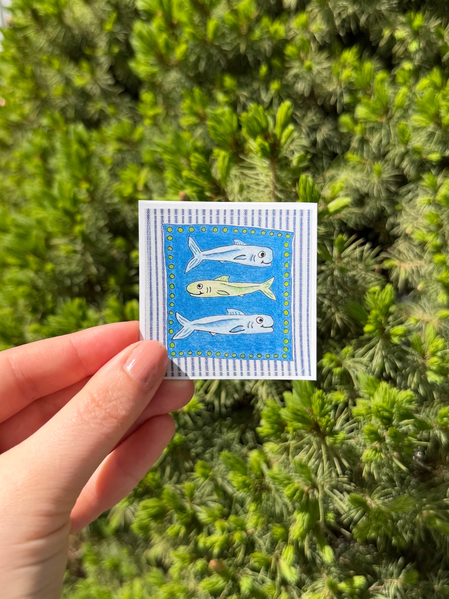 Bluefish Sticker