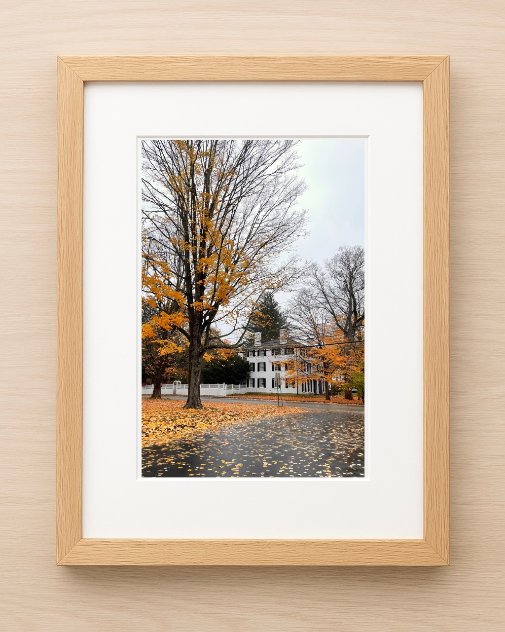 Autumn in Connecticut Print
