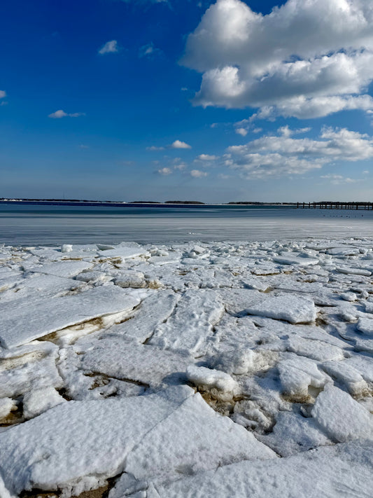 Icebergs on Cape Cod Print