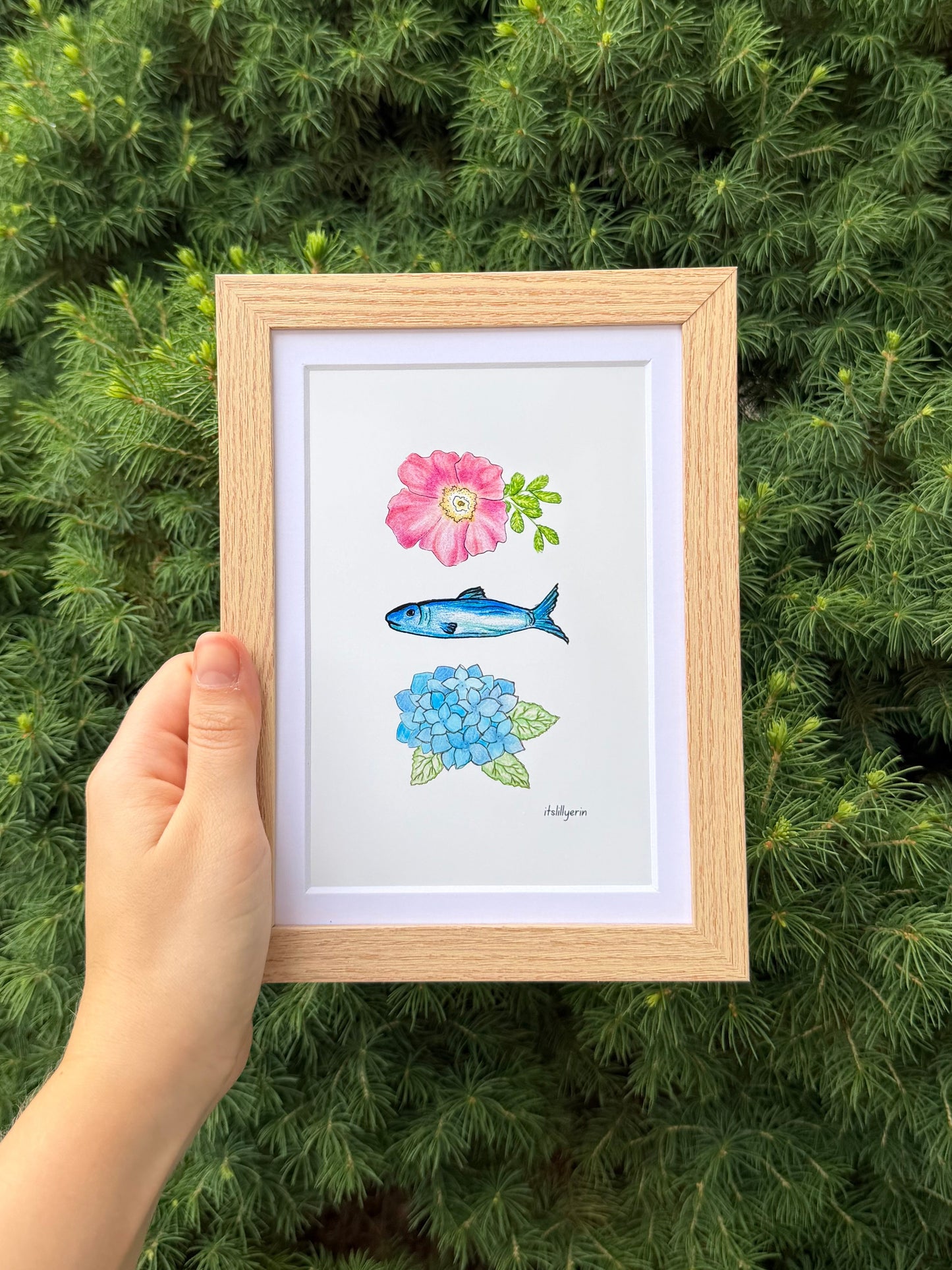 Cape Cod Chips x itslillyerin 4x6 Drawing