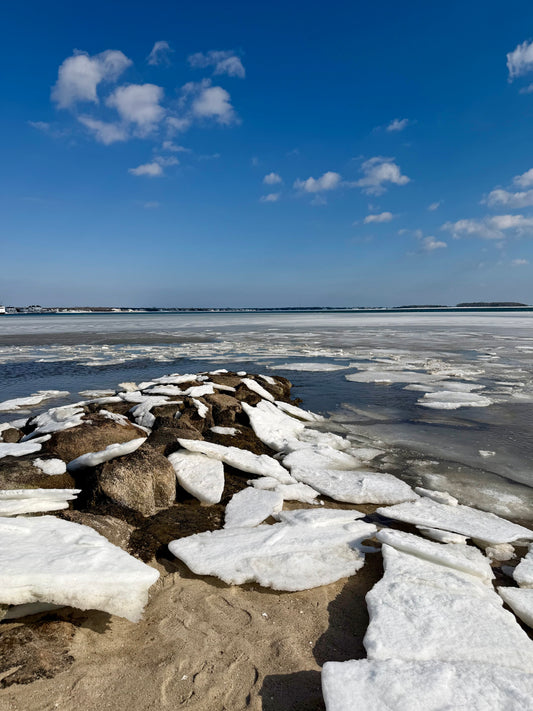 Blue February on Cape Cod Print