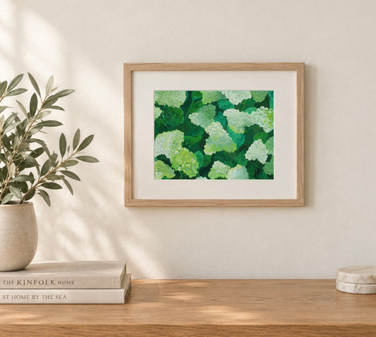 8x10 Print of Limelight Hydrangeas Original Painting