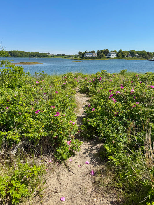 Bass River Park in West Dennis, Cape Cod Massachusetts Print