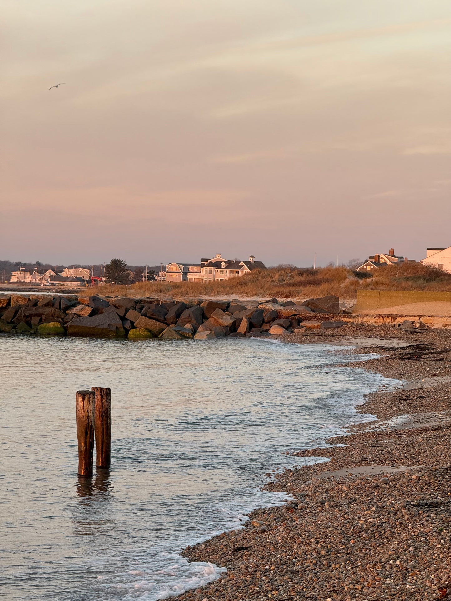 Golden Sunrise in Falmouth Massachusetts Print