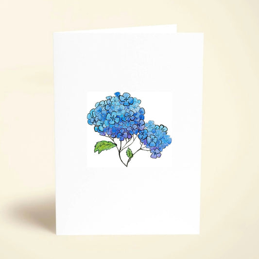 5 Pack Blue Hydrangeas Greeting Cards