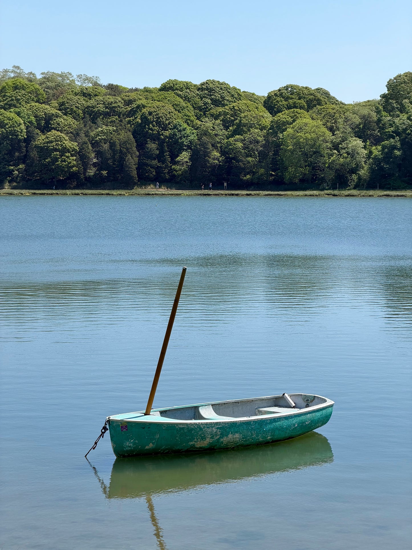 Salt Pond in June Eastham, Cape Cod Massachusetts Print