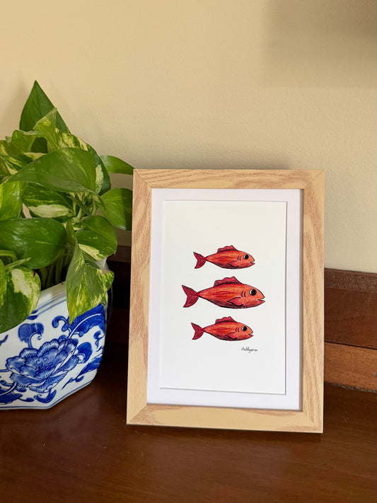 Red Snapper 4x6 Drawing