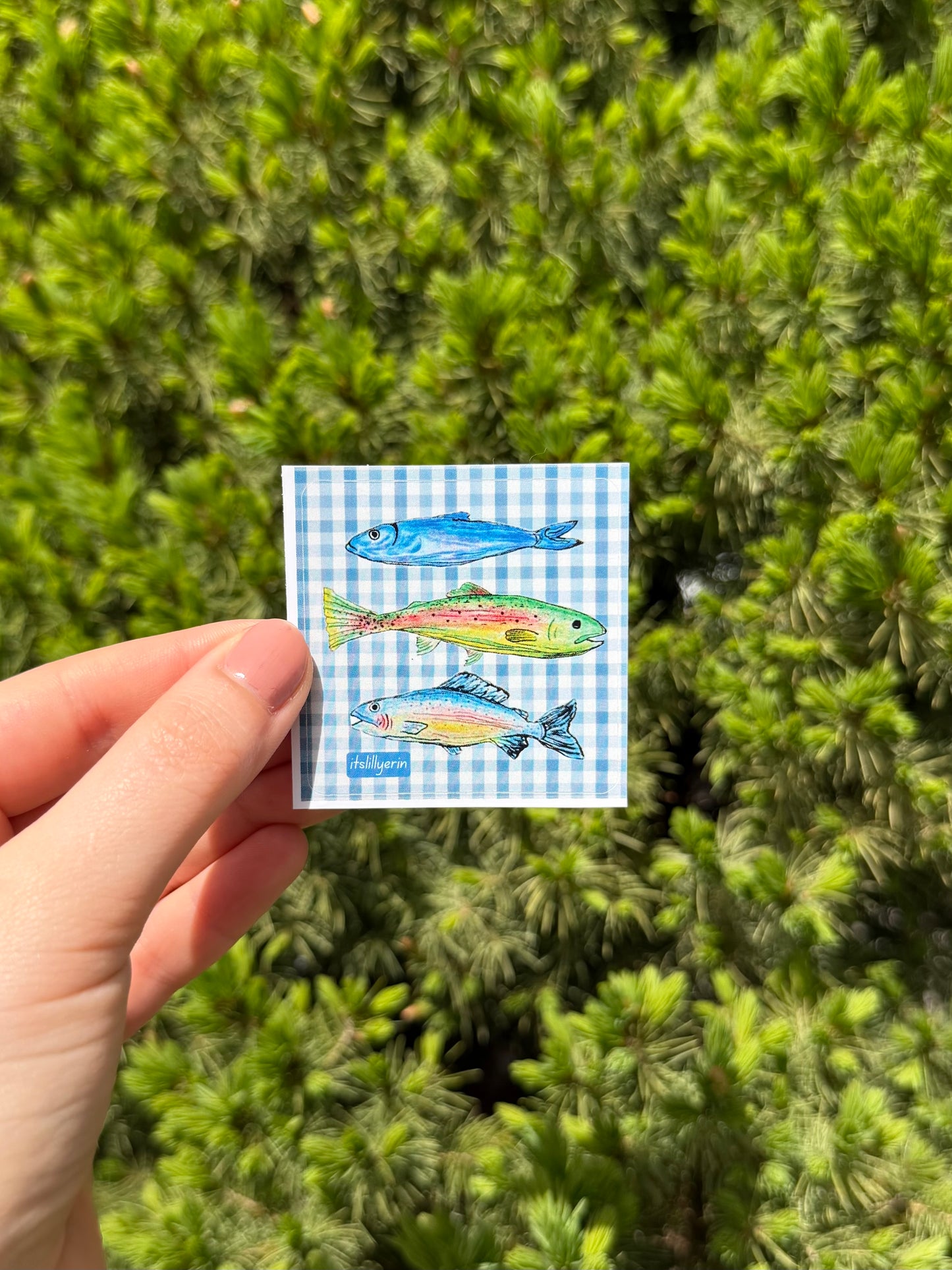 Rainbow Fish Gingham Sticker