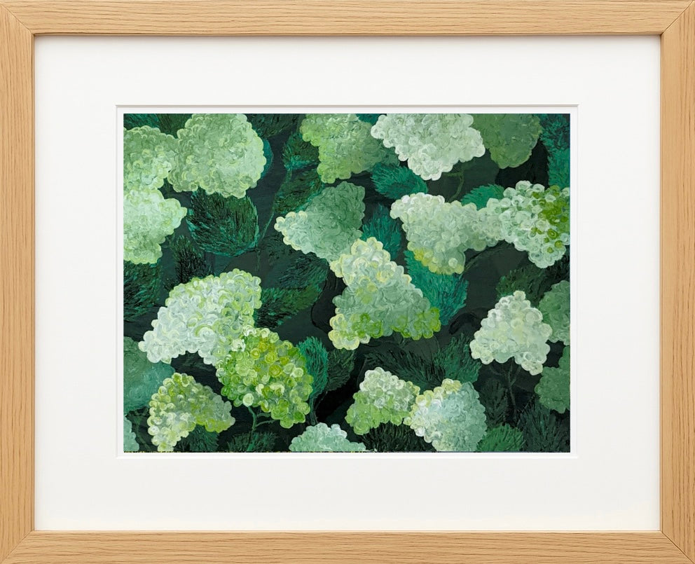 Limelight Hydrangeas Acrylic Painting Print