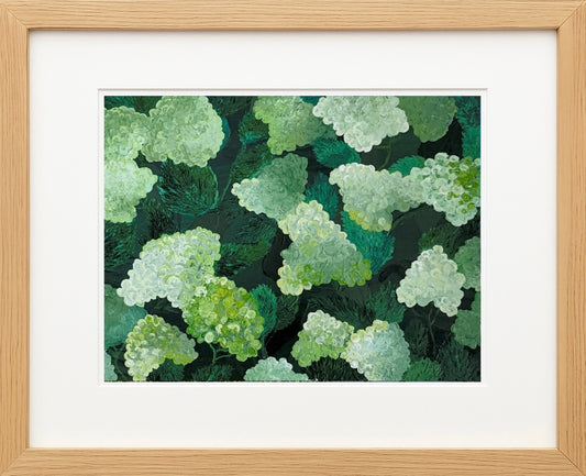 Limelight Hydrangeas Acrylic Painting Print