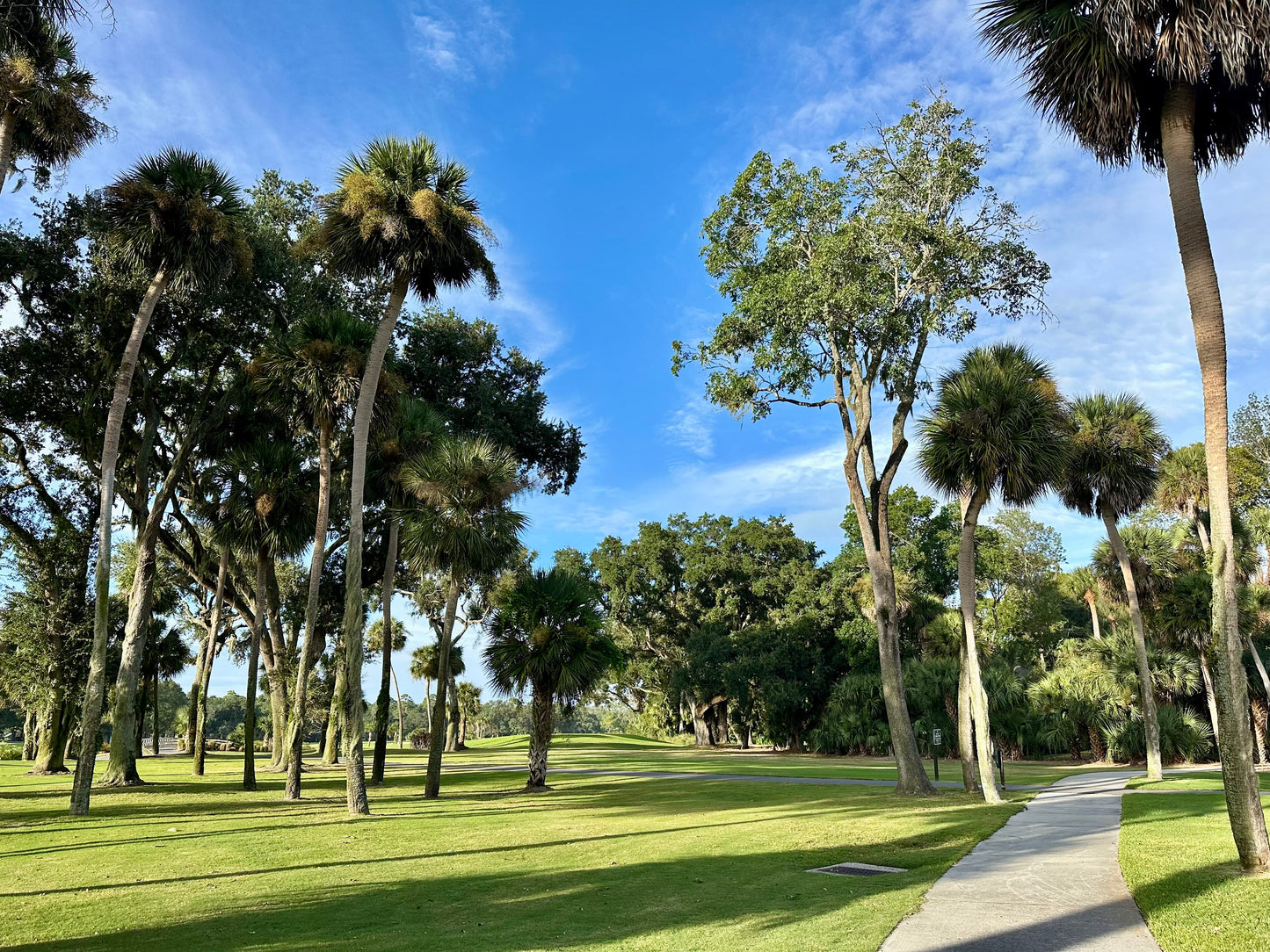 Golfing in Palmetto Dunes Hilton Head South Carolina Print