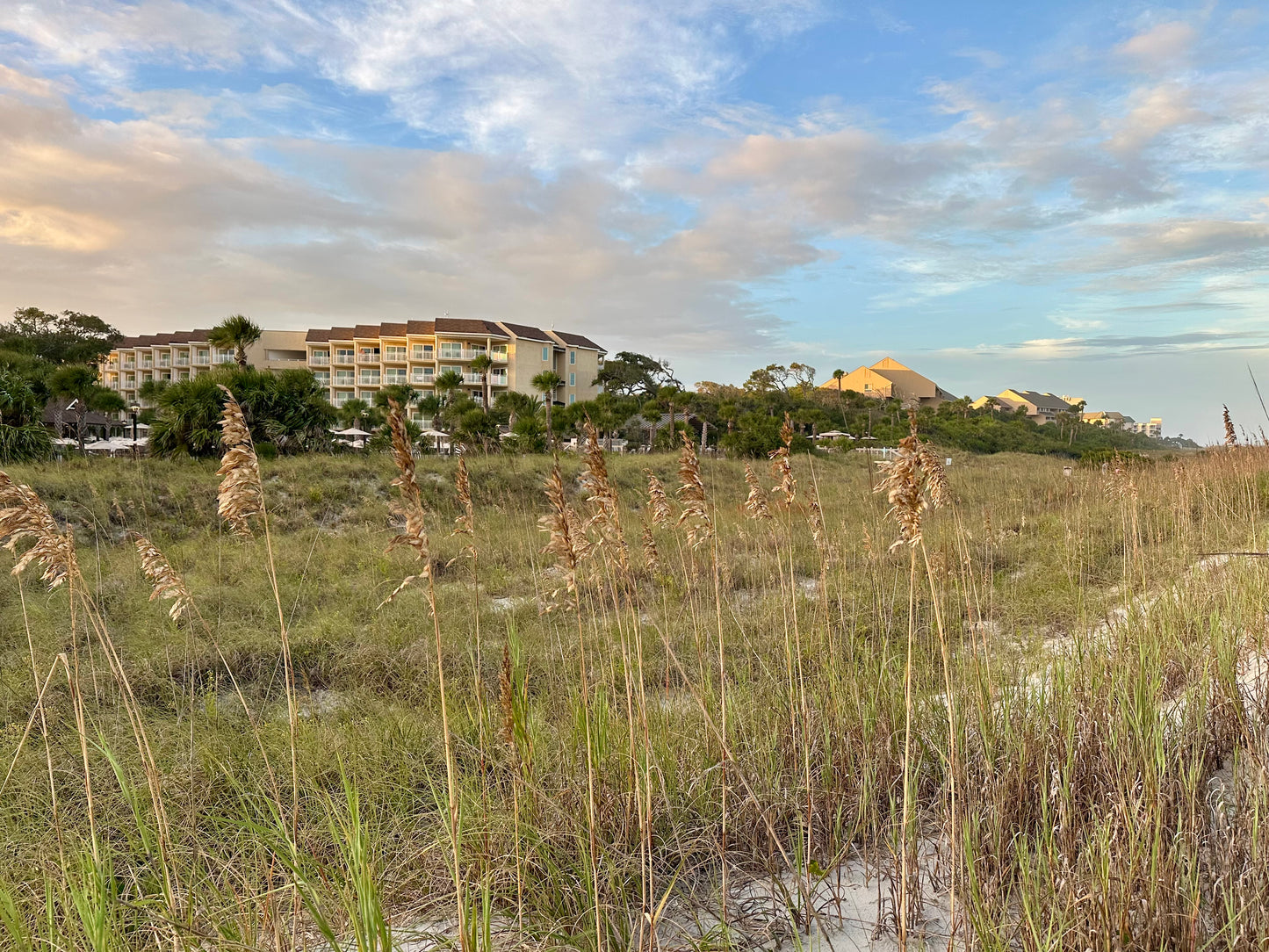 The Omni Resort Hilton Head South Carolina Print