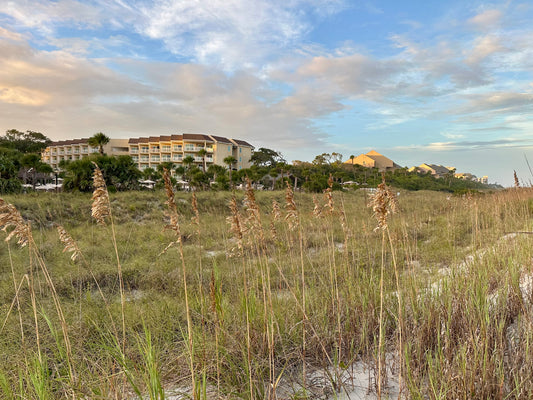 The Omni Resort Hilton Head South Carolina Print