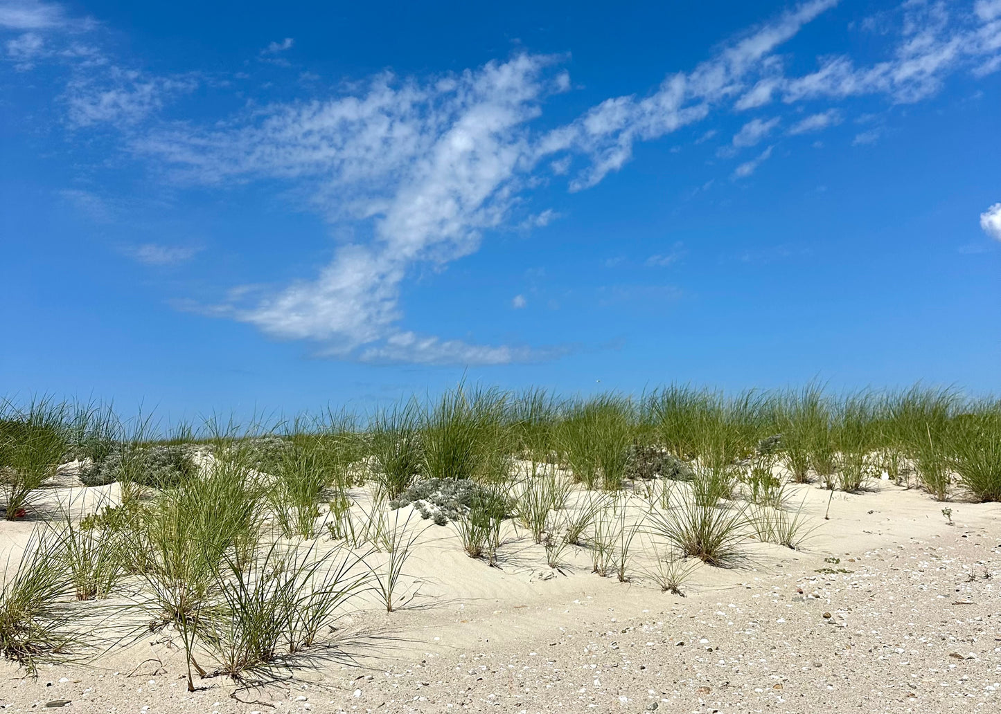 Seagull Beach Dunes in West Yarmouth, Massachusetts Print