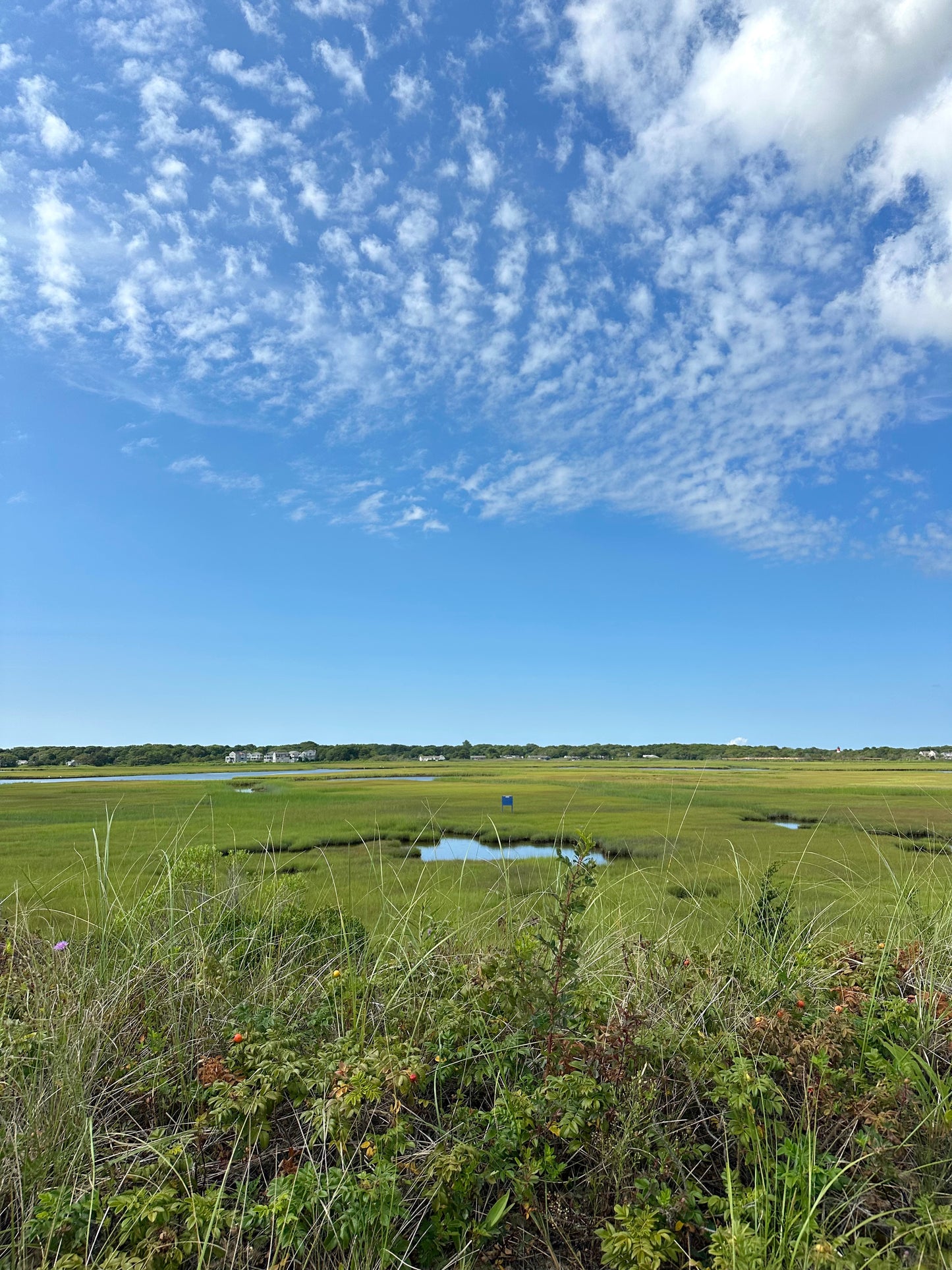 Seagull Beach in West Yarmouth, Massachusetts Print