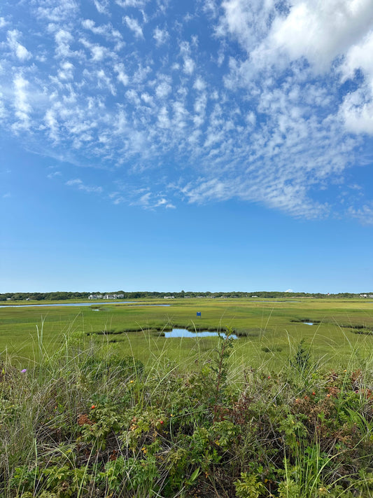 Seagull Beach in West Yarmouth, Massachusetts Print