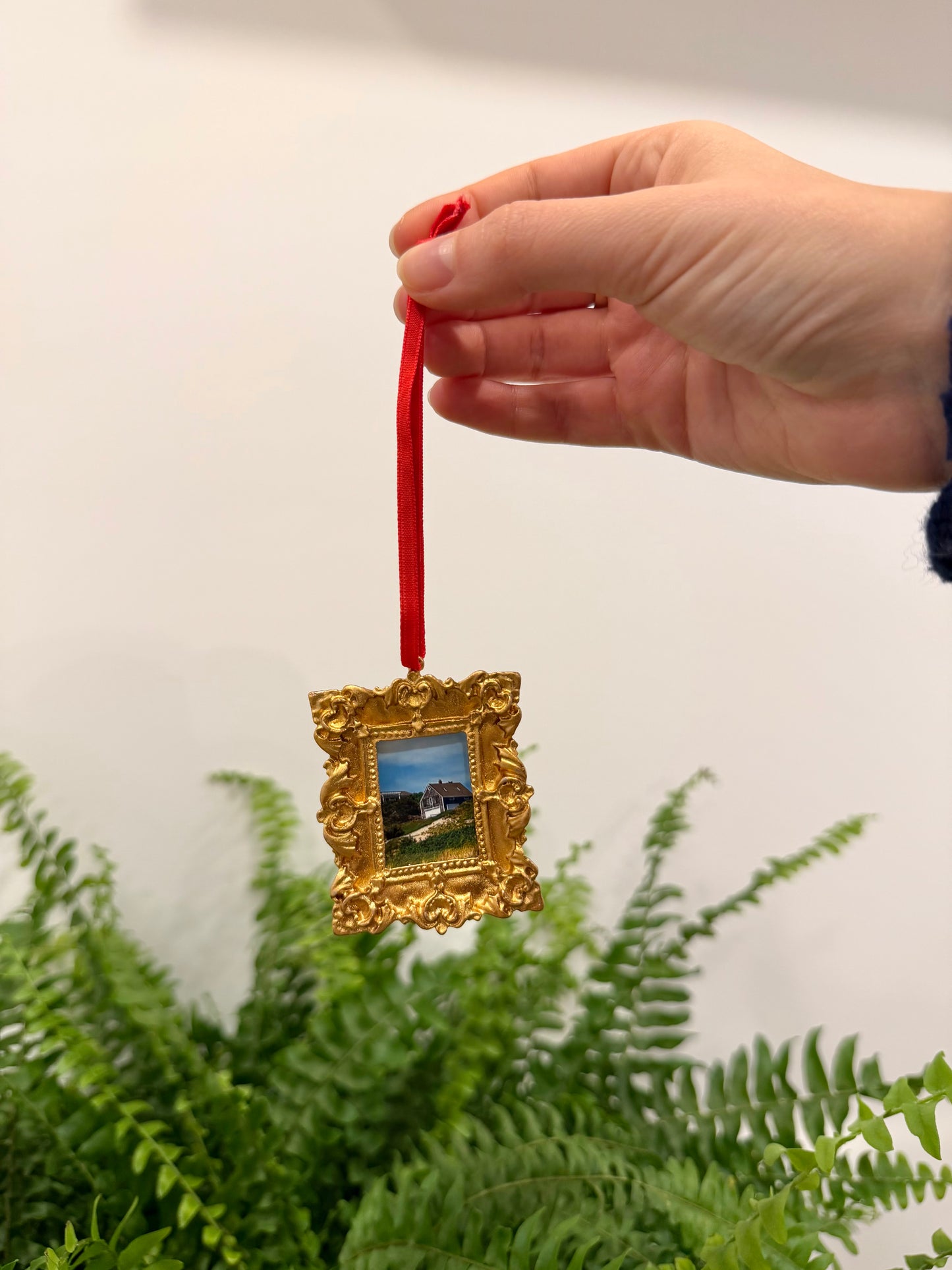 Mystery Holiday Ornament