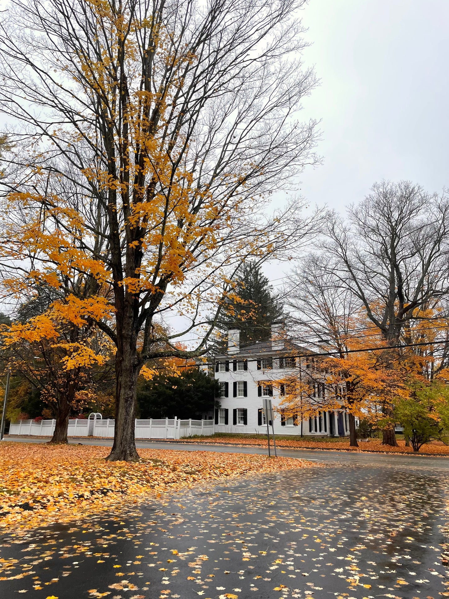 Autumn in Connecticut Print