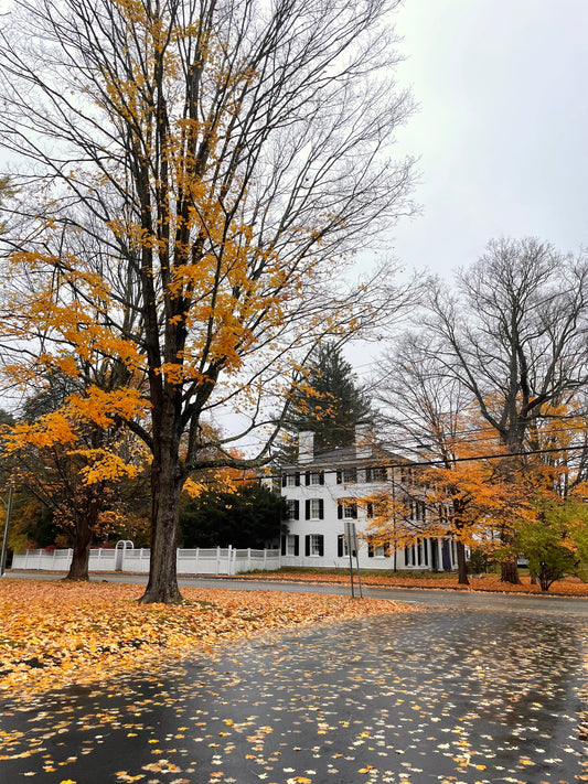 Autumn in Connecticut Print