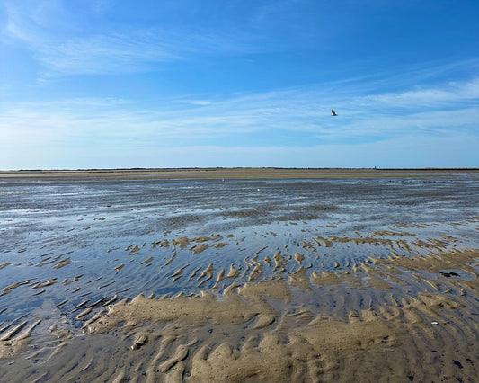 Low Tide in Provincetown, Massachusetts Print