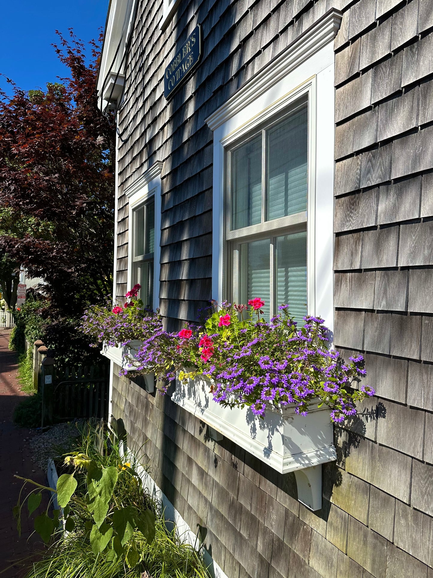 New England Cape Cod Cottage Print