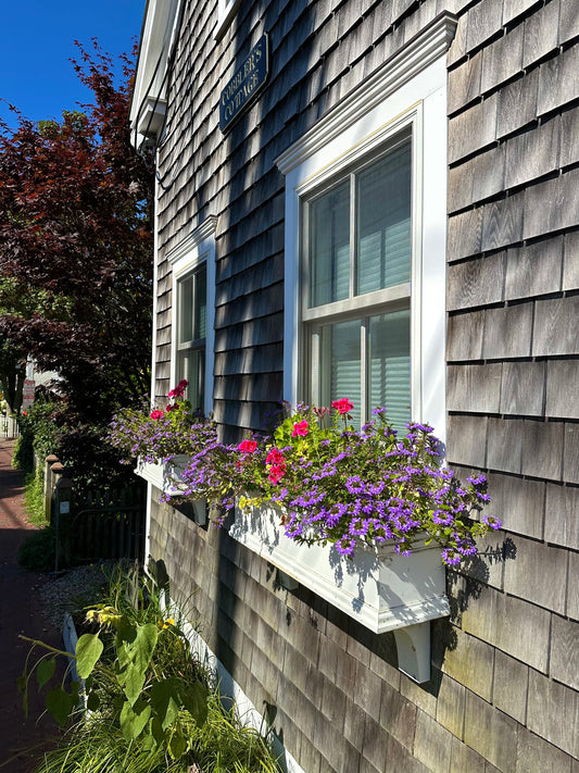 New England Cape Cod Cottage Print