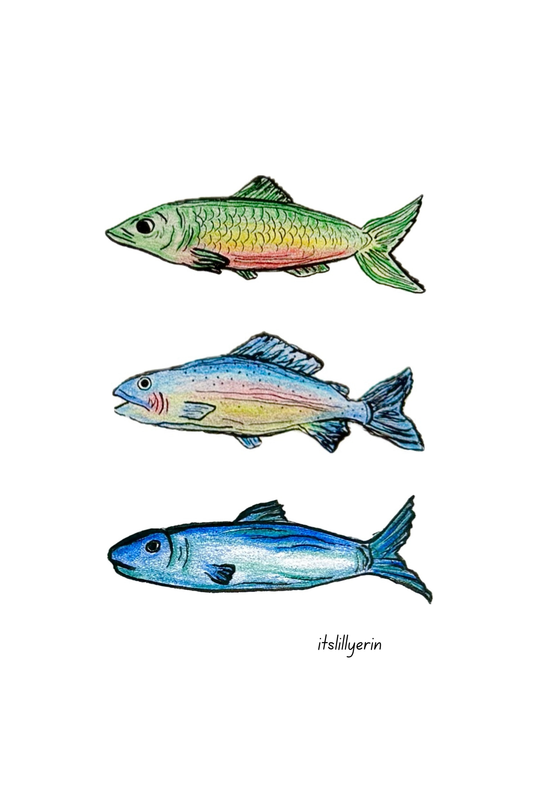 Rainbow Fish 4x6 Drawing
